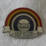 Ethnic Diversity pin 90200 $5.00